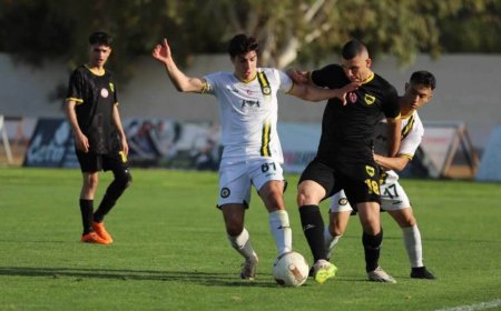 MTG, Ocak'ı farklı uğurladı