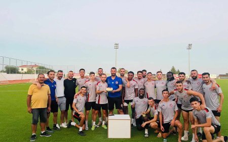 Yunuslarda keyifler yerinde