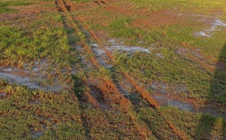 Bunun adı VANDALLIK değil de nedir?