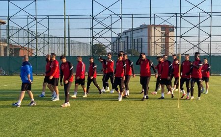 Mormenekşe güç depoladı