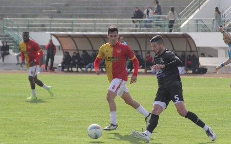 DUMLUPINAR FARKLI TURLADI