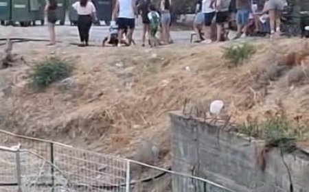 Kavgacılar yandı!